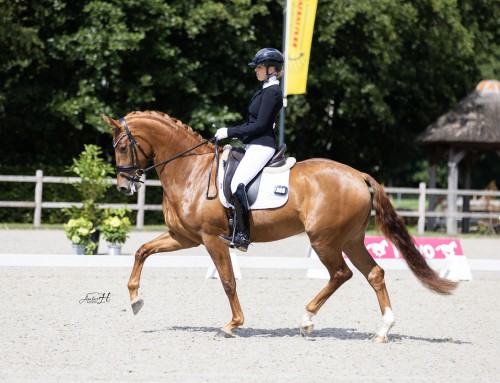 Drie merries scoren 80 of meer punten tijdens de PAVO cup voorselectie 🤩💪🏼